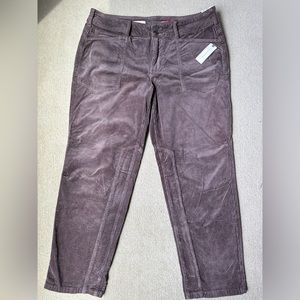 NWT Anthropologie Brown Corduroys- never worn size 32